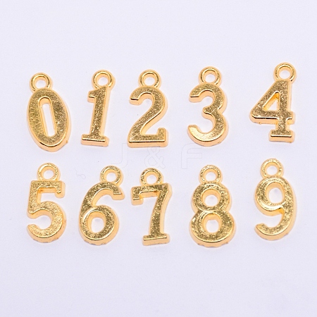 Tibetan Style Alloy Pendants TIBEP-TAC0001-14G-1