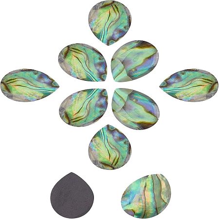 Natural Abalone Shell/Paua Shell Cabochons SSHEL-FH0001-03-1