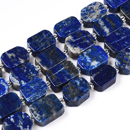 Natural Lapis Lazuli Beads Strands G-T138-14-1