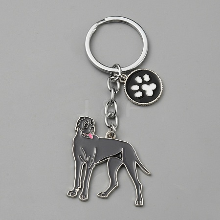 Alloy Keychain KEYC-SZC0006-01N-1