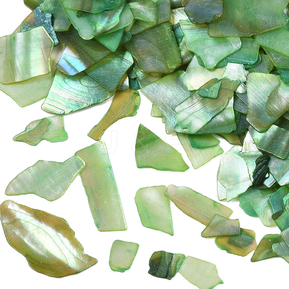Wholesale Natural Abalone/Paua Shell Mica Fragment - Jewelryandfindings.com