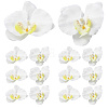 Cloth Imitation Phalaenopsis Amabilis DIY-WH20002-197-6