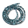 Natural Apatite Beads Strands G-G140-A15-07-3