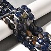 Natural Sodalite Beads Strands G-I377-A09-1