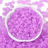 Transparent Colours Glass Seed Beads X1-SEED-P008-01B-04-3