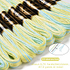 10 Skeins 6-Ply Polyester Embroidery Floss OCOR-CY0004-38I-2