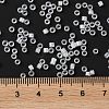 Glass Seed Beads SEED-S042-13A-01-5