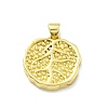 Rack Plating Brass Pendants KK-D359-37G-1