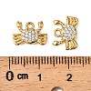 304 Stainless Steel Charms STAS-F321-01G-02-3