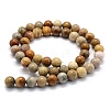 Natural Fossil Coral Beads Strands G-G763-12-4mm-5