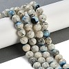 Natural Blue Ice Glacierite Stone Beads Strands G-H062-A04-03-2