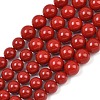 Electroplated Shell Pearl Graduated Beads Strands BSHE-C011-04-01-1