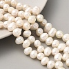 Natural Cultured Freshwater Pearl Beads Strands PEAR-A006-29C-2