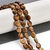 Natural Picture Jasper Beads Strands G-M420-D14-01-2