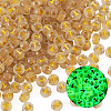 50G Luminous Transparent Acrylic Beads OACR-TAD0001-01T-3