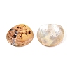 2-Hole Mother of Pearl Buttons SHEL-T012-43A-2