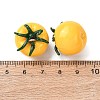 Imitation Vegetable Resin Pendants RESI-K033-03B-01-3