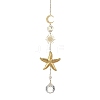 304 Stainless Steel Starfish & Round Glass Hanging Suncatchers HJEW-JM05037-1