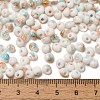 Baking Paint Glass Seed Beads SEED-F006-01A-12-4