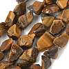 Raw Rough Natural Tiger Eye Beads Strands G-M453-D10-2