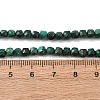 Natural Malachite Beads Strands G-C262-C02-4mm-8