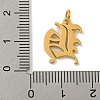 Ion Plating(IP) 304 Stainless Steel Charms STAS-I010-01G-H-3