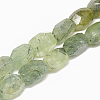 Natural Prehnite Beads Strands G-S308-05-1