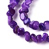 Natural Freshwater Shell Beads Strands SHEL-N037-04H-3