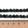 Natural Bloodstone/Heliotrope Beads Strands G-Z119-A16-01-6