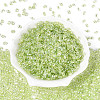 Transparent Colours Luster Glass Seed Beads SEED-N008-09E-2