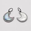 Brass Cubic Zirconia Charms ZIRC-P036-22-B03-RS-1