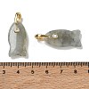Natural Labradorite Pendants G-A297-01G-15-3
