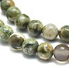 Natural Rhyolite Jasper Beads Strands G-F674-03A-6mm-3