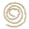 2Strands Handmade Lampwork Beads Strands BLOW-TADJ0001-01E-3