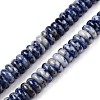 Natural Blue Spot Jasper Beads Strands G-T138-72-4