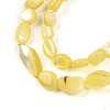 Natural White Shell Beads Strands SHEL-N036-21H-3