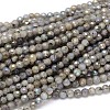 Natural Electroplate Labradorite Round Bead Strands G-O094-04-4mm-1