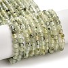 Natural Prehnite Beads Strands G-B107-E01-02-2