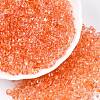 Spray Painted Glass Seed Beads SEED-T007-08D-3