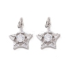 Rack Plating Brass Micro Pave Cubic Zirconia Charms KK-C008-34P-2