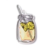 Transparent Printed Acrylic Pendants TACR-G042-01D-2