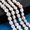 Natural Keshi Pearl Beads Strands PEAR-S020-T01-5