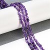 Natural Amethyst Beads Strands G-P497-01B-19-2