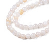 Natural Freshwater Shell Beads Strands BSHE-T009A-01B-3