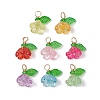 Acrylic Charms PALLOY-JF03079-1