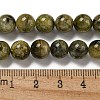 Natural Green Tourmaline Beads Strands G-B099-C05-04-5