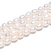 Natural Cultured Freshwater Pearl Beads Strands PEAR-N012-07Y-01-5