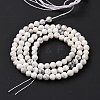 Natural Howlite Beads Strands G-H273-02C-4