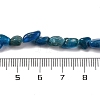 Gradient Color Natural Apatite Beads Strands G-L610-B12-01-5