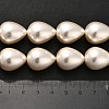 Electroplate Shell Pearl Beads Strands BSHE-G010-16x20mm-01-5